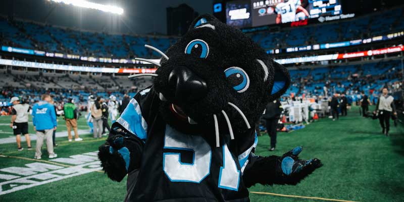 Carolina Panthers Web Chat